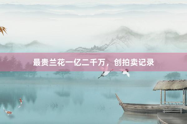 最贵兰花一亿二千万，创拍卖记录