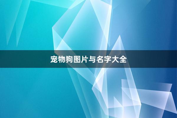 宠物狗图片与名字大全